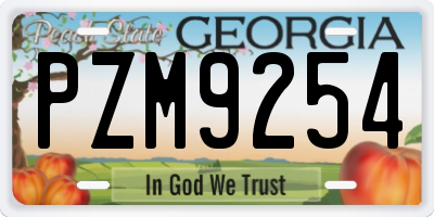 GA license plate PZM9254