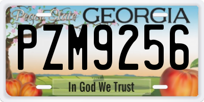GA license plate PZM9256