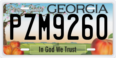 GA license plate PZM9260