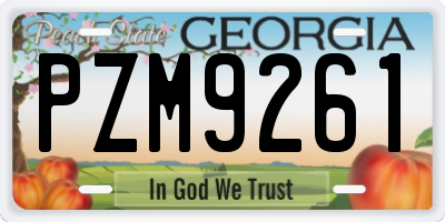 GA license plate PZM9261