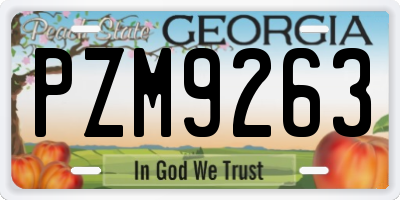 GA license plate PZM9263
