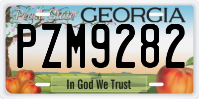 GA license plate PZM9282