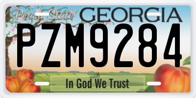 GA license plate PZM9284