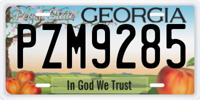 GA license plate PZM9285
