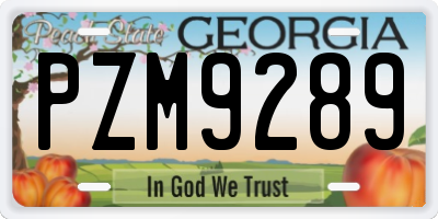 GA license plate PZM9289