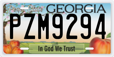 GA license plate PZM9294
