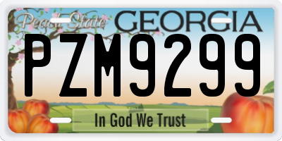 GA license plate PZM9299