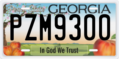 GA license plate PZM9300