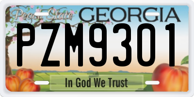 GA license plate PZM9301