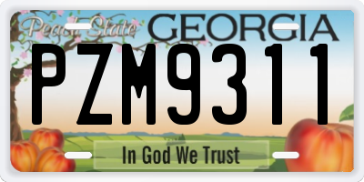 GA license plate PZM9311