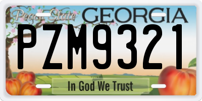 GA license plate PZM9321