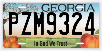 GA license plate PZM9324