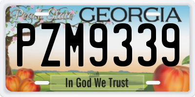 GA license plate PZM9339