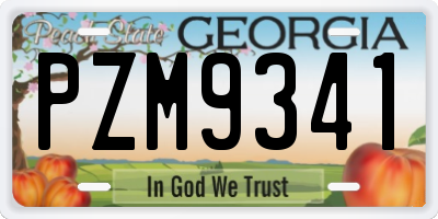 GA license plate PZM9341