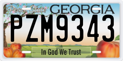 GA license plate PZM9343