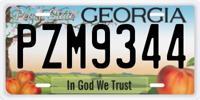 GA license plate PZM9344