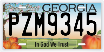 GA license plate PZM9345
