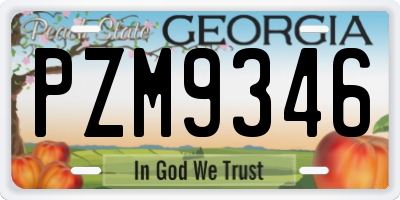 GA license plate PZM9346