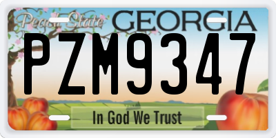 GA license plate PZM9347