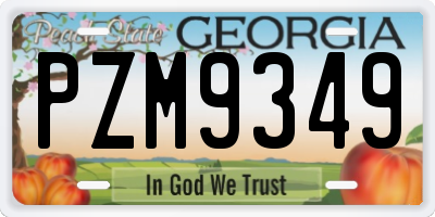 GA license plate PZM9349