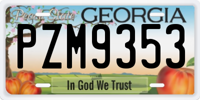 GA license plate PZM9353