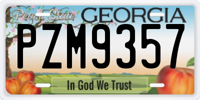 GA license plate PZM9357