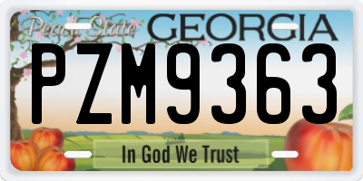 GA license plate PZM9363