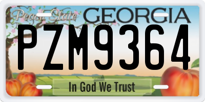 GA license plate PZM9364