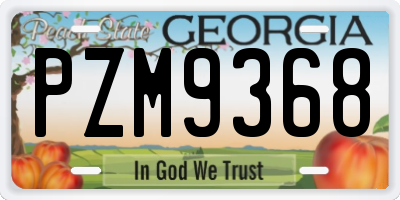 GA license plate PZM9368