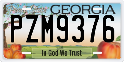 GA license plate PZM9376