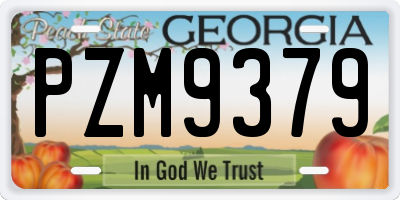 GA license plate PZM9379