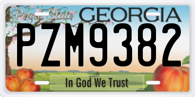 GA license plate PZM9382