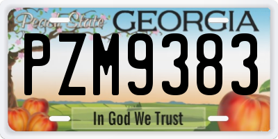 GA license plate PZM9383