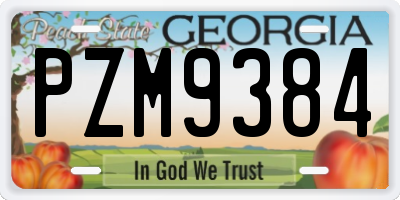 GA license plate PZM9384