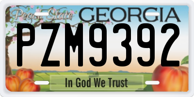 GA license plate PZM9392