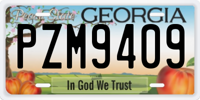 GA license plate PZM9409