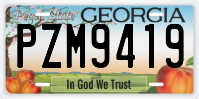 GA license plate PZM9419