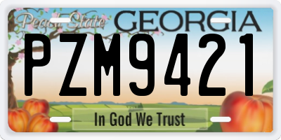 GA license plate PZM9421