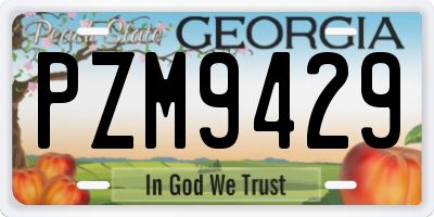GA license plate PZM9429
