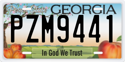 GA license plate PZM9441