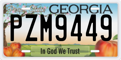 GA license plate PZM9449