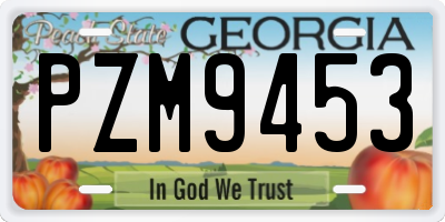 GA license plate PZM9453