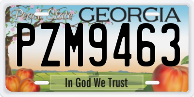 GA license plate PZM9463