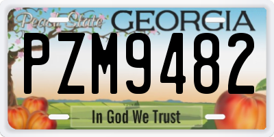 GA license plate PZM9482