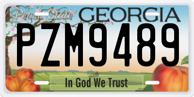 GA license plate PZM9489
