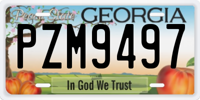 GA license plate PZM9497