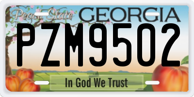 GA license plate PZM9502