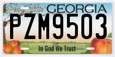 GA license plate PZM9503