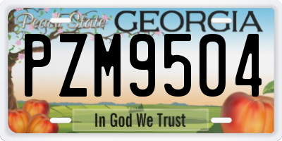 GA license plate PZM9504