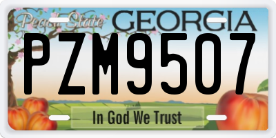 GA license plate PZM9507